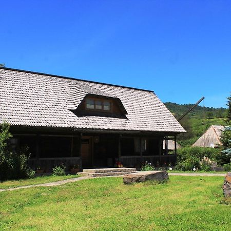 Pensiunea Ioana Vadu Izei Exterior foto